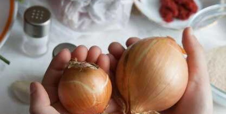 Сонник — К чему снится лук репчатый на грядке и на рынке? Узнайте значение ваших снов!