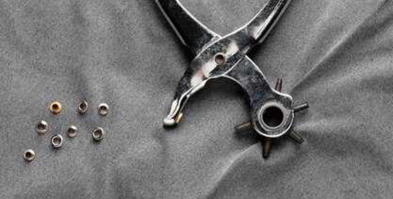 Сонник — к чему снится пришчепка белевая? Значение, подробности и цветовые трактования