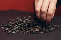 Сонник — к чему снятся черные семечки подсолнуха? Узнайте значение снов!