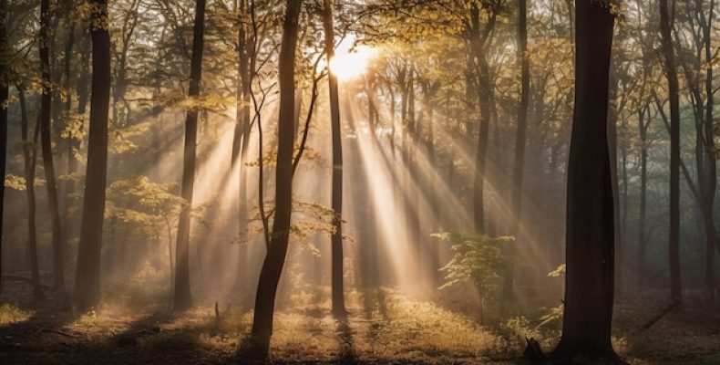 Тайна имени Сильвестр: Лесной дикарь, папа римский и русский Селиверст