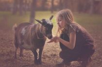 Телец — Особенности характера девочки и мальчика — Как воспитать ребенка под знаком зодиака Телец