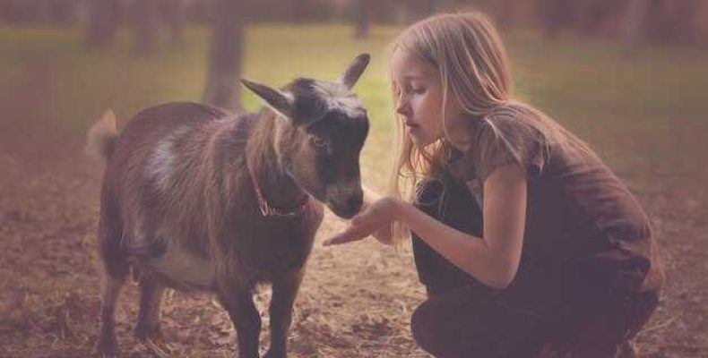 Телец — Особенности характера девочки и мальчика — Как воспитать ребенка под знаком зодиака Телец