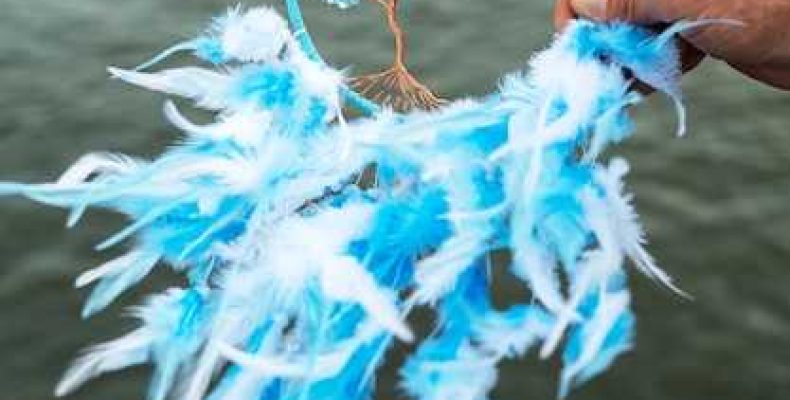 Толкование сна — Белые перья и их значение в сонниках