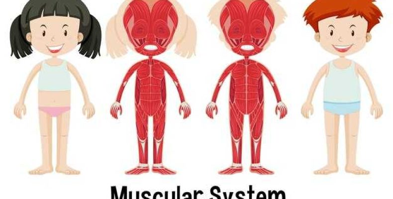 Тонкие тела человека — что это такое и их строение