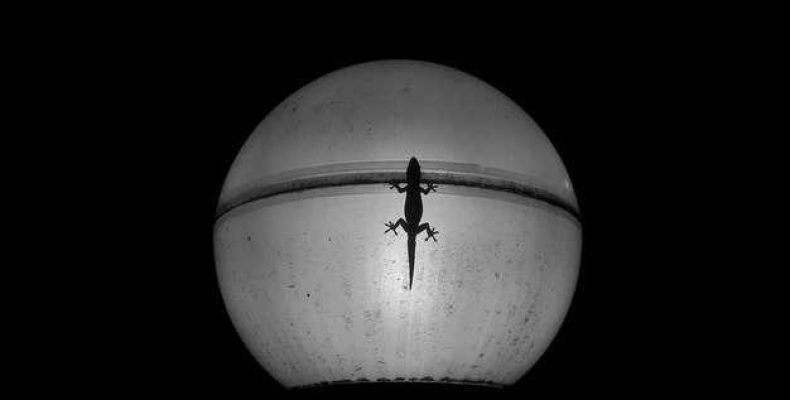 Транзитная Лилит в 7 доме — Невероятная история о Черной Луне