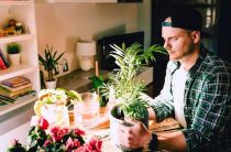 Универсальные комнатные цветы для всех знаков зодиака — выбираем идеальное растение