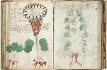 Печать-талисман: Секретный инструмент исполнения желаний, о котором молчат