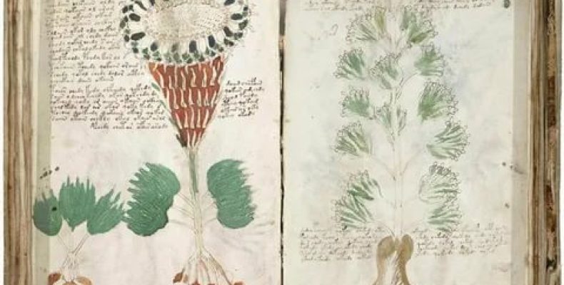 Печать-талисман: Секретный инструмент исполнения желаний, о котором молчат