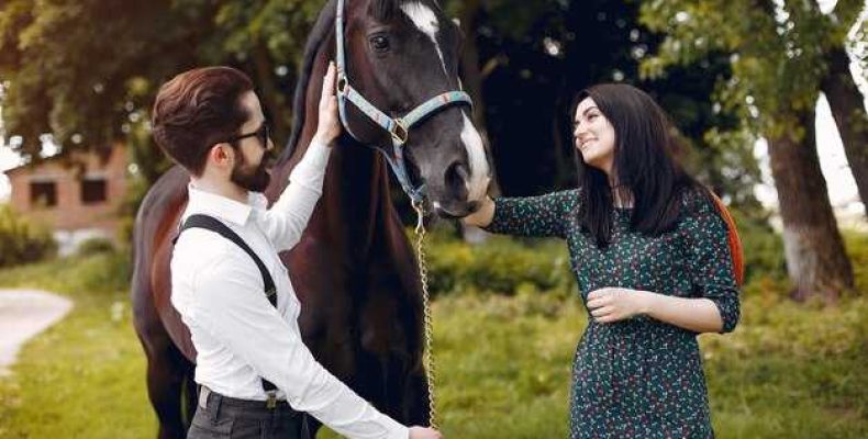 Ведмак 3 — Какое зачарование лучше? Где найти мастера? Быстрые скачки и советы