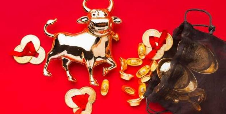 Восточный гороскоп 1983 — Китайский гороскоп Свинья (Кабан) — Характеристики, Совместимость и Прогнозы