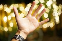 Все было видно как на ладони — значение слова ладонь и примеры предложений