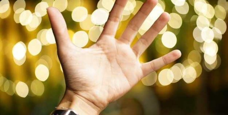 Все было видно как на ладони — значение слова ладонь и примеры предложений