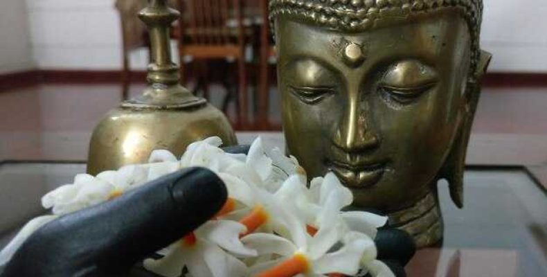 Все о толстянке — храм Будды, Валяжная, крассула и простые советы по уходу