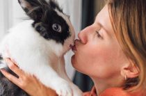 Характеристика мужчин и женщин Козерогов в год Кота (Кролика) — Узнайте, что ждать!