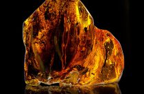 Янтарный амулет: почему магия солнца работает безотказно