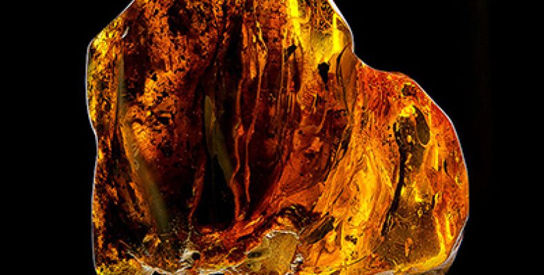 Янтарный амулет: почему магия солнца работает безотказно