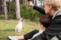 Загадка превращения — Почему люди превращаются в животных?