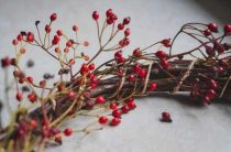 Значение и символика рябины — татуировки с цветами и ветками, история и смысл