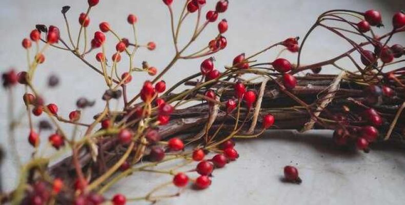 Значение и символика рябины — татуировки с цветами и ветками, история и смысл