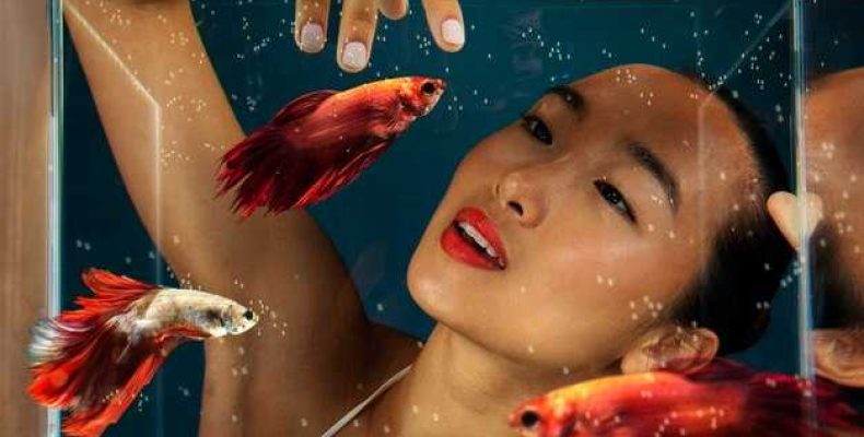 Знаки зодиака февраля — Водолей и Рыбы — Особенности и характеристики людей, рожденных в феврале